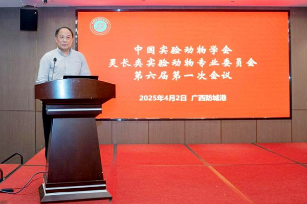 图片19.png