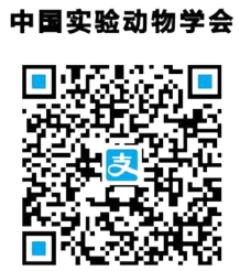 图片22.png