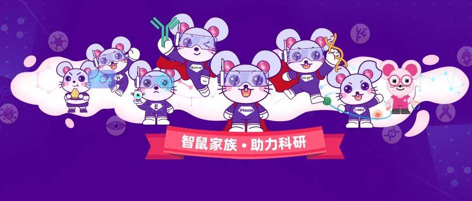 智鼠iMouse