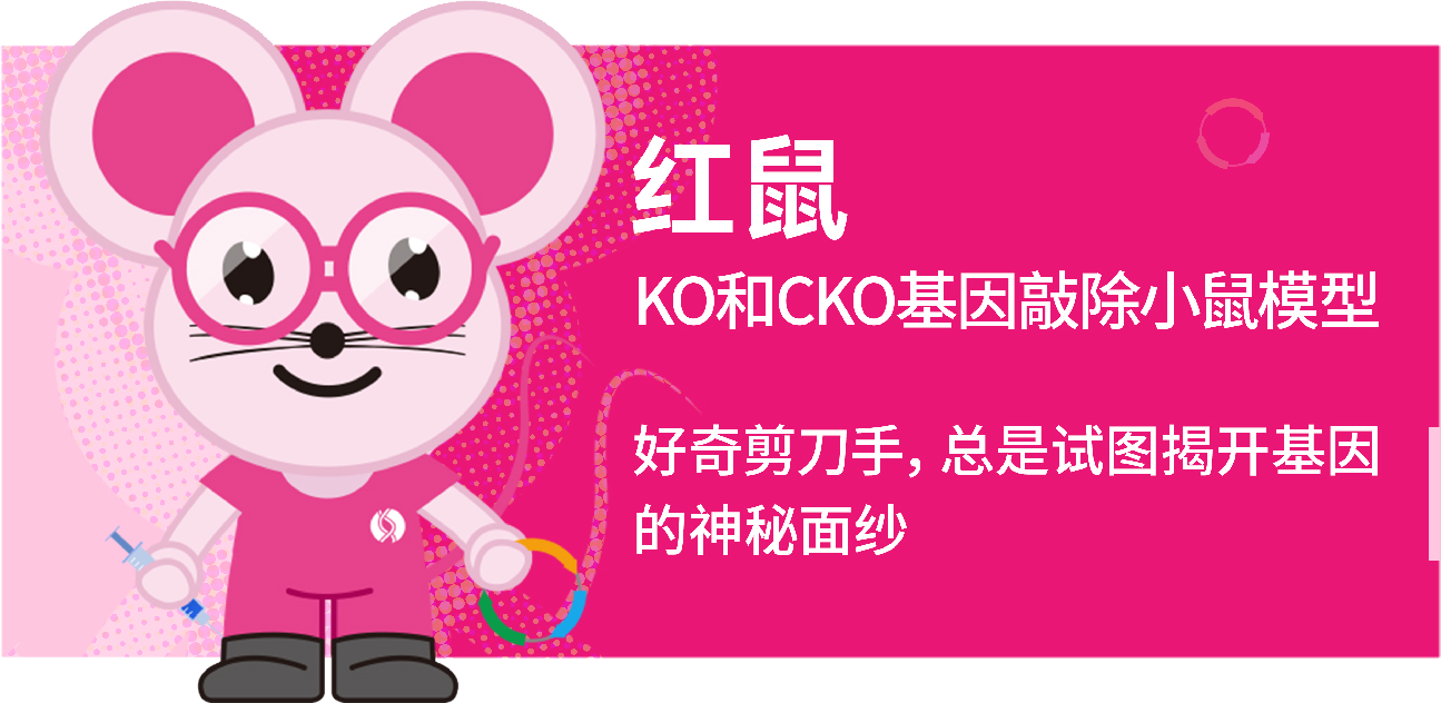 智鼠iMouse 智鼠iMouse
