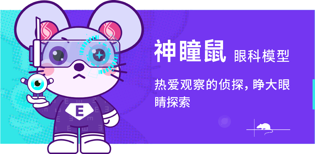 智鼠iMouse 智鼠iMouse