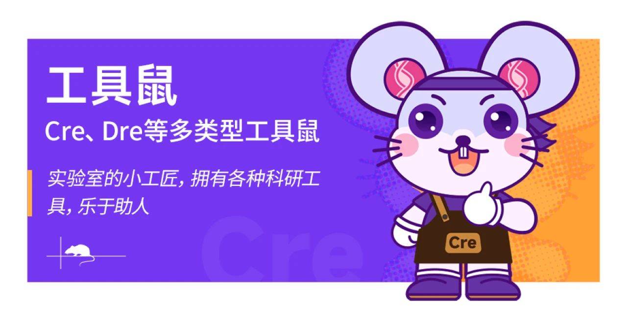 智鼠iMouse 智鼠iMouse