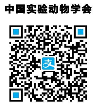 图片31.png