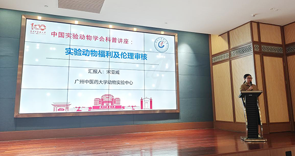 图片311.png
