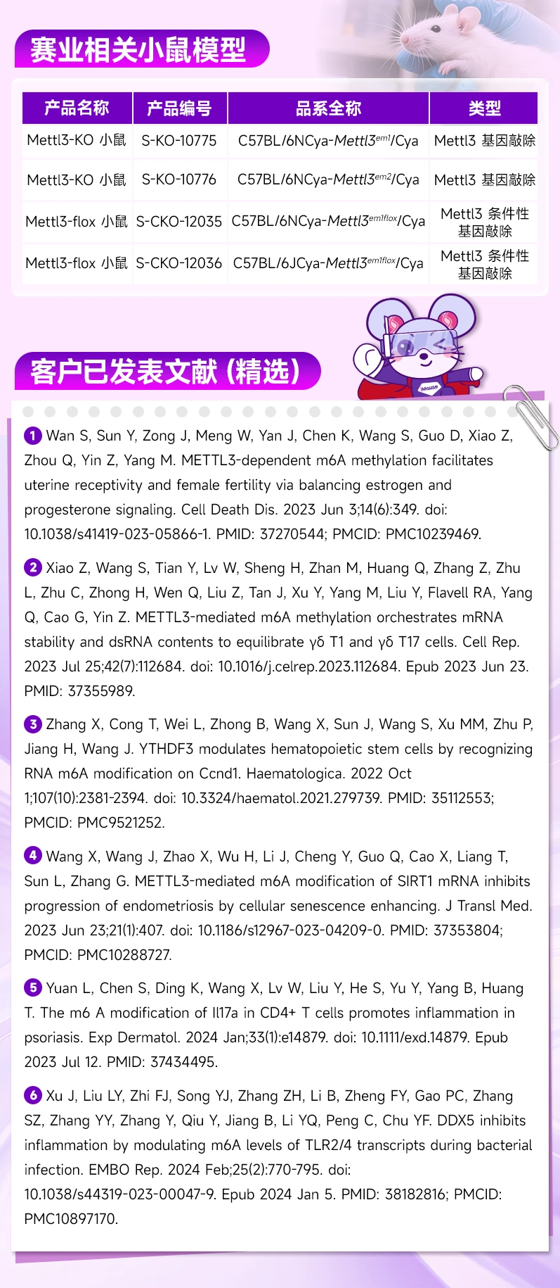 METTL3基因