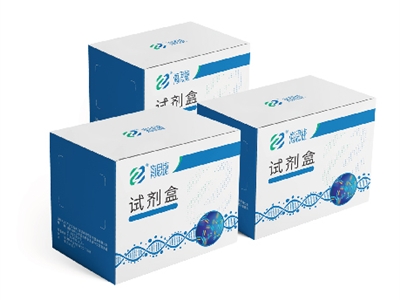 实验动物病毒检测试剂盒