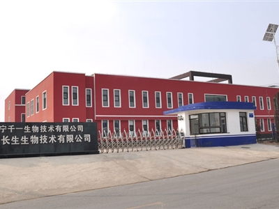 公司环境