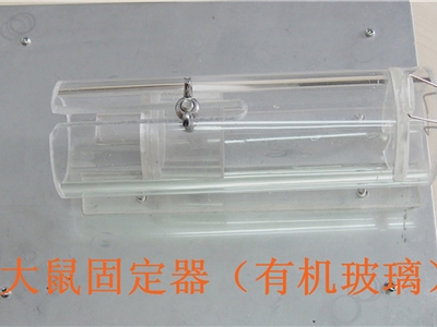 大小鼠固定器