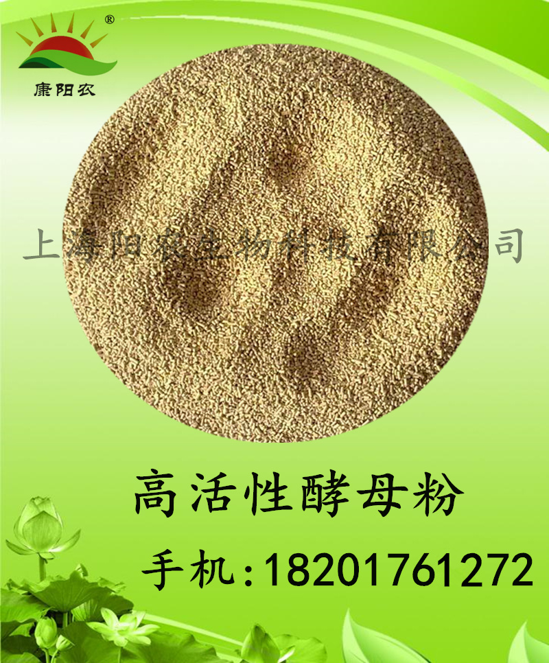 供应饲料级高活性干酵母