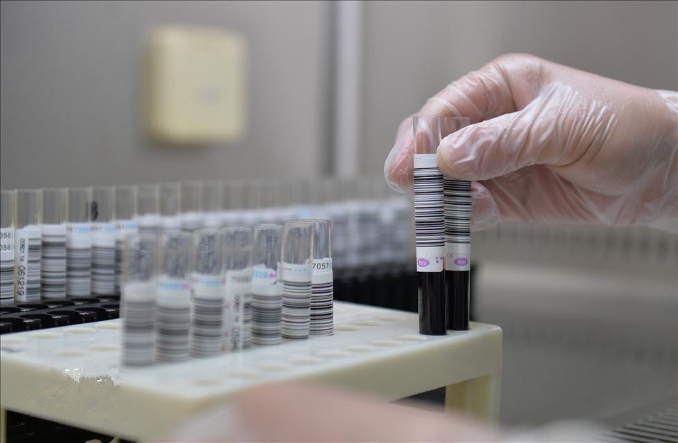 液相色谱(HPLC)生物分析检测实验动物大小鼠猪犬猴猫鸡鸭鹅羊兔人等