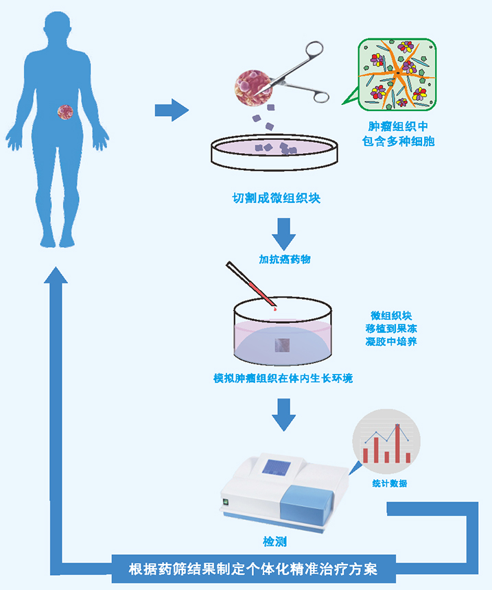 HDST药筛技术
