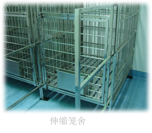 动物寄养