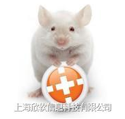 ANY-maze动物行为分析系统