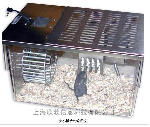 大小鼠活动轮系统