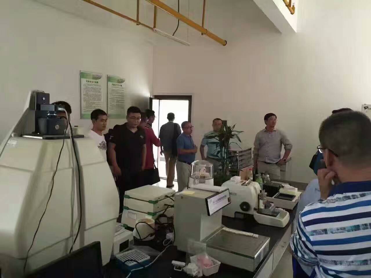 中英文润色发表