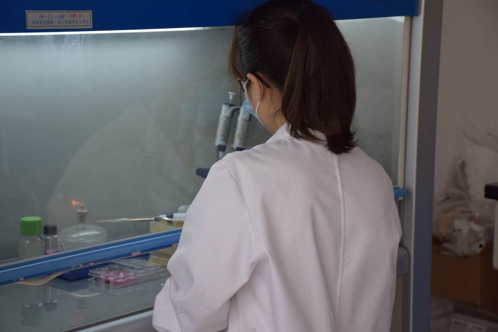 省自然科学基金申报