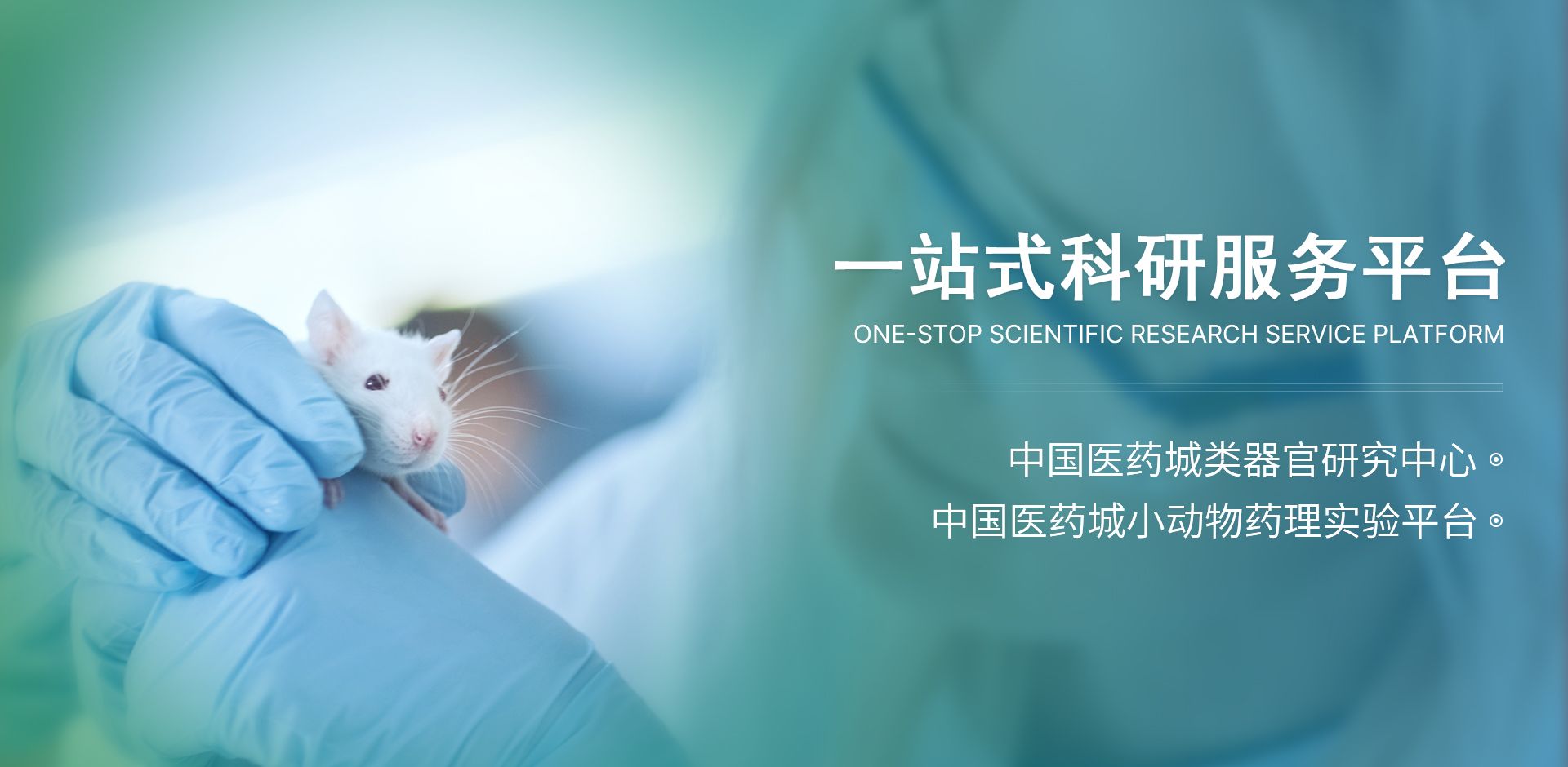 动物实验，动物造模，肿瘤类器官实验，SPF级实验室