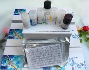 小鼠第八因子相关抗原(FⅧAg)ELISA试剂盒