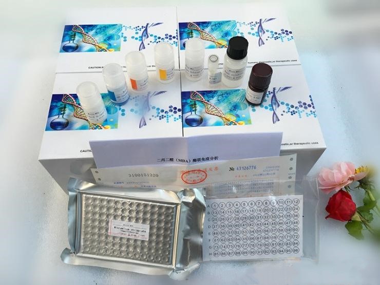 人红细胞生成素(EPO)ELISA试剂盒