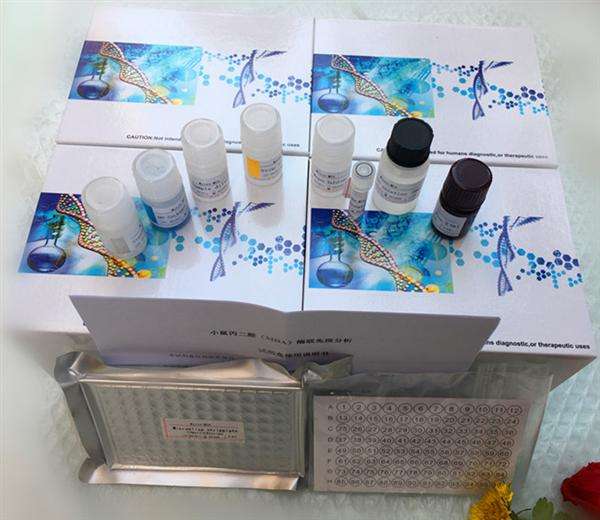大鼠可溶性E选择素(sE-selectin)ELISA试剂盒