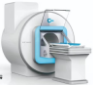 动物磁共振影像服务（MRI）