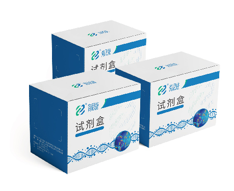 海思安现货供应大鼠汉坦病毒(HV)ELISA抗体检测试剂盒