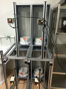 供应强迫游泳视频分析装置