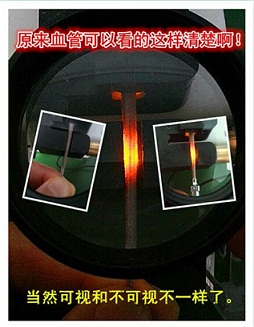 供应小鼠静脉可视尾注固定器装置