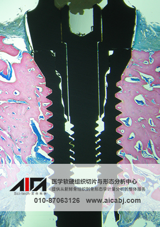 硬组织切磨片染色