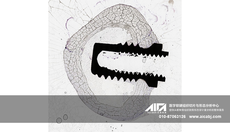 医疗器械（植入物）动物实验病理制片
