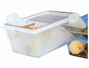 R-实验大鼠笼 塑料笼盒 笼箱