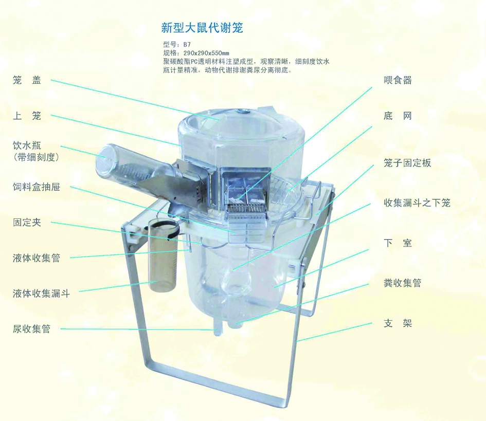 独立通气笼盒IVC系统