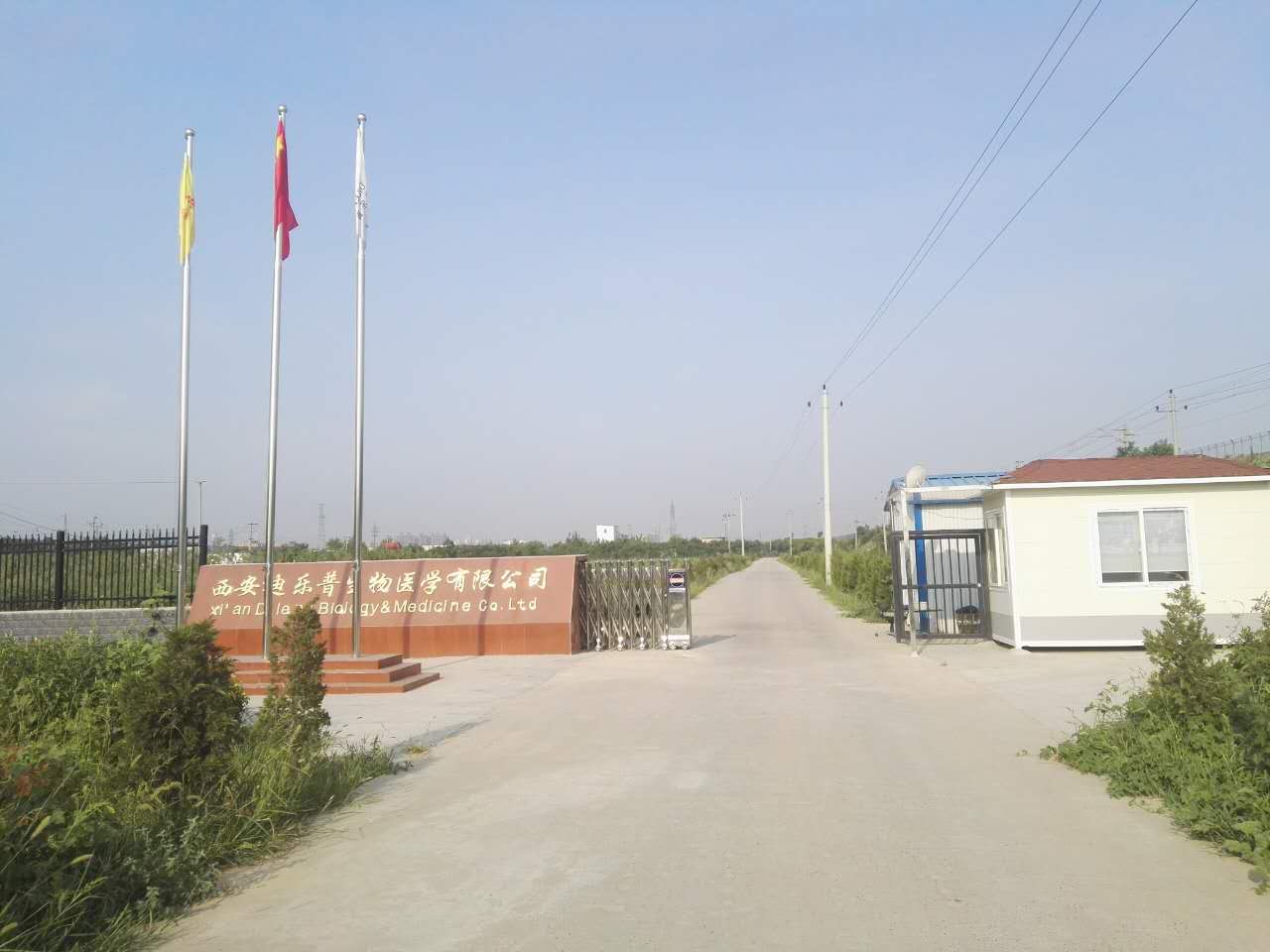 西安迪乐普生物医学有限公司