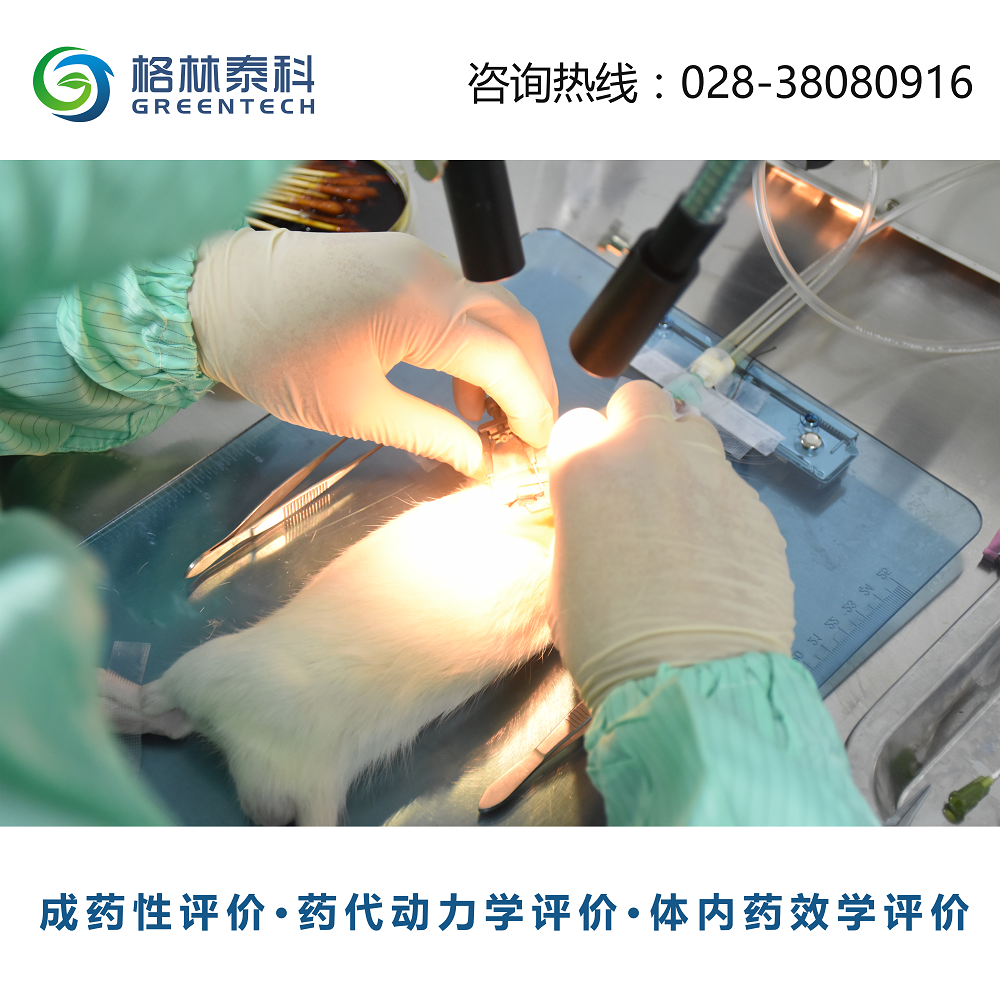 心肌肥厚和心力衰竭模型