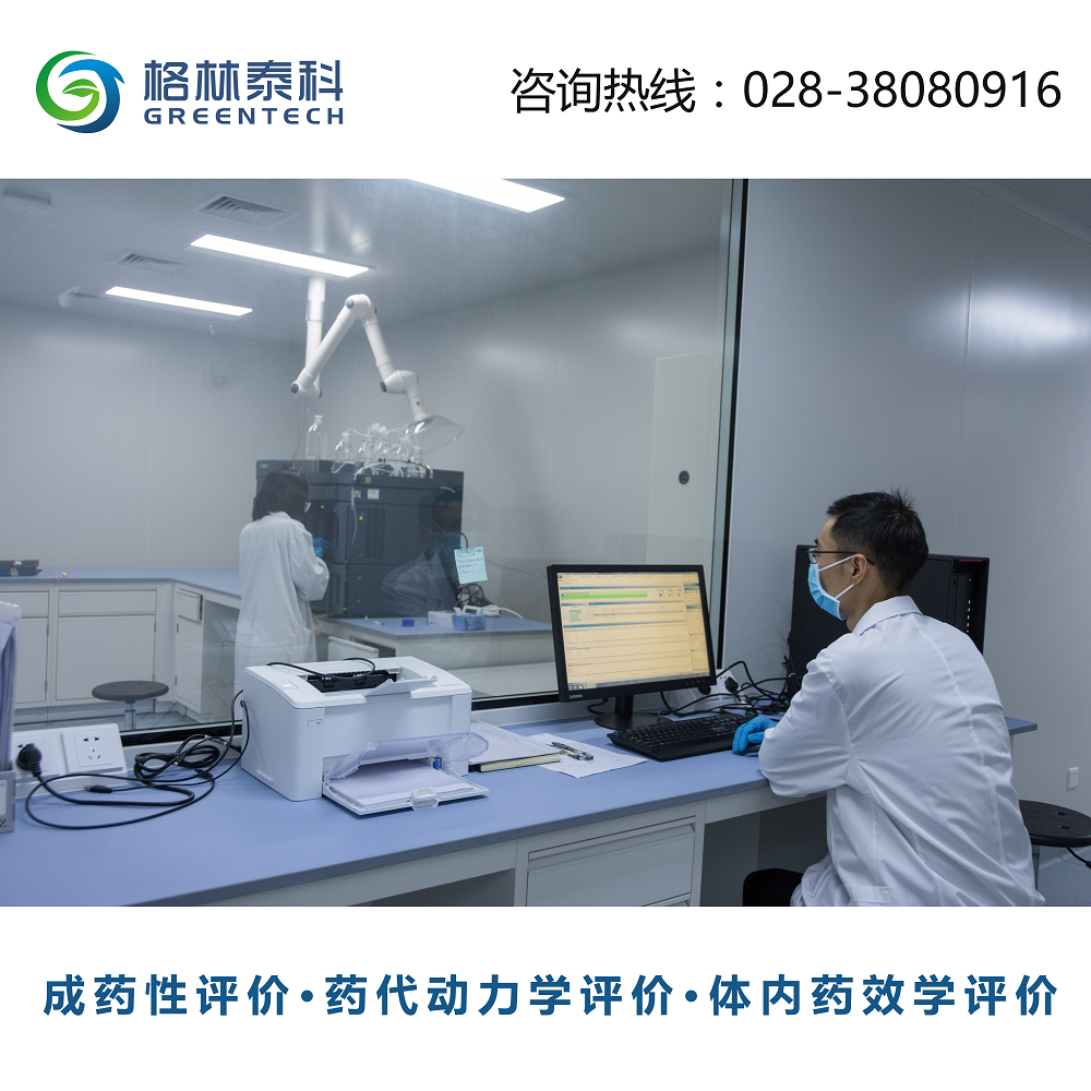 体内药物动力学评价
