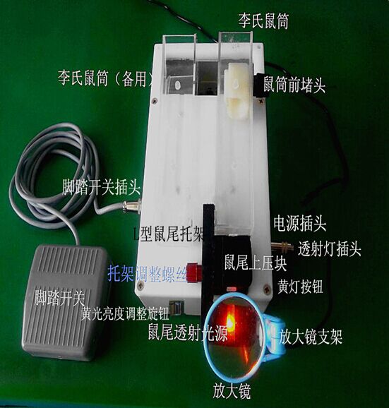 YLS-Q9G静脉可视小鼠尾注固定器