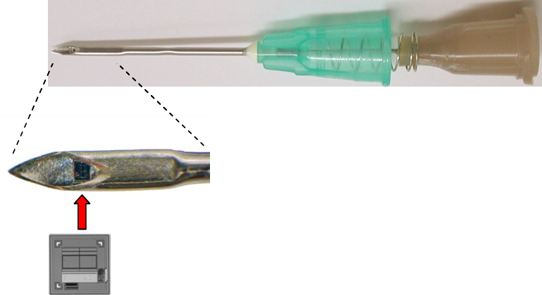 小鼠标签身份识别系统P-chip-PharmaSeq