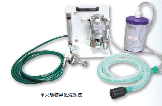 多规格动物麻醉设备