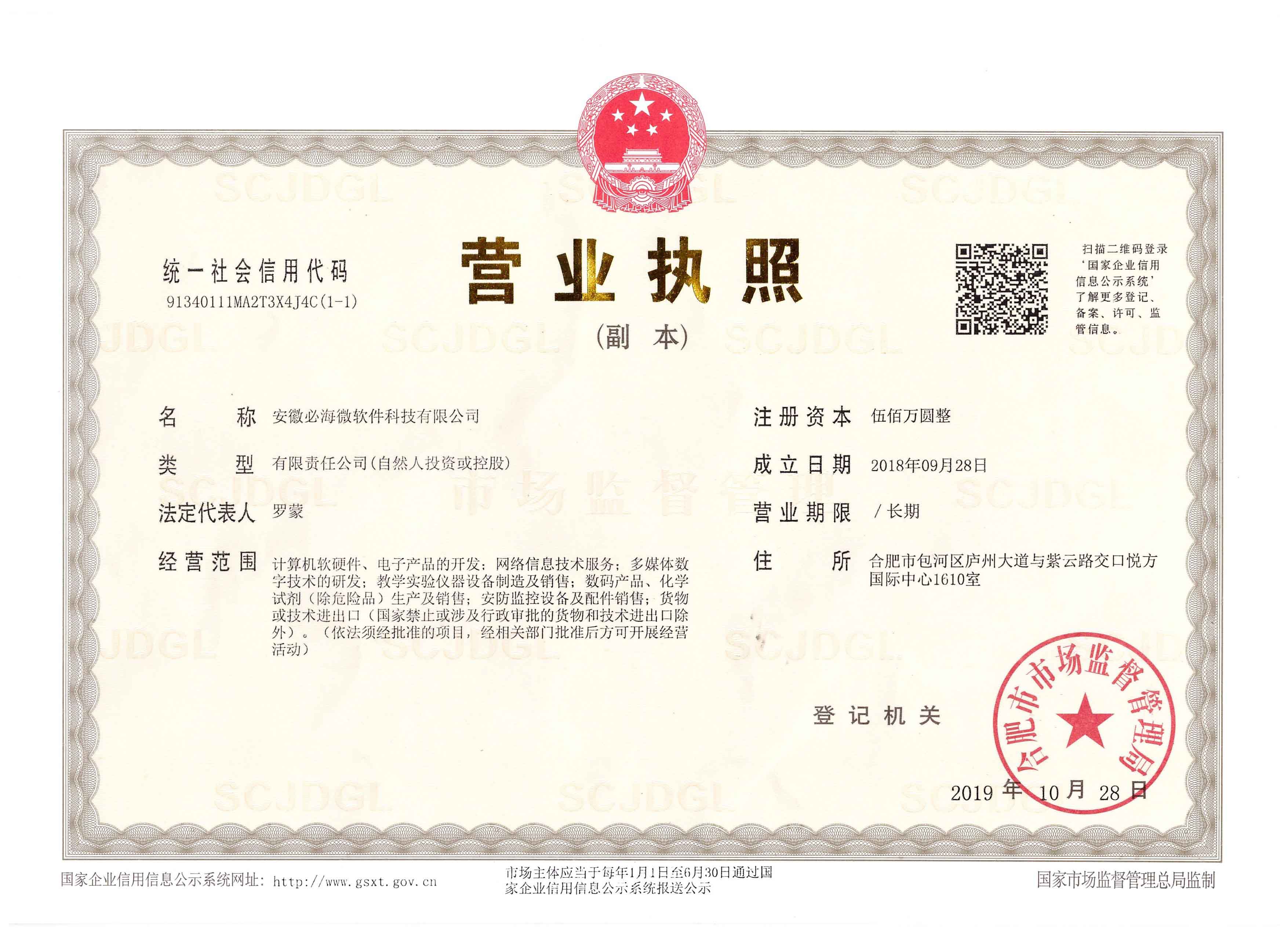 安徽必海微软件科技有限公司