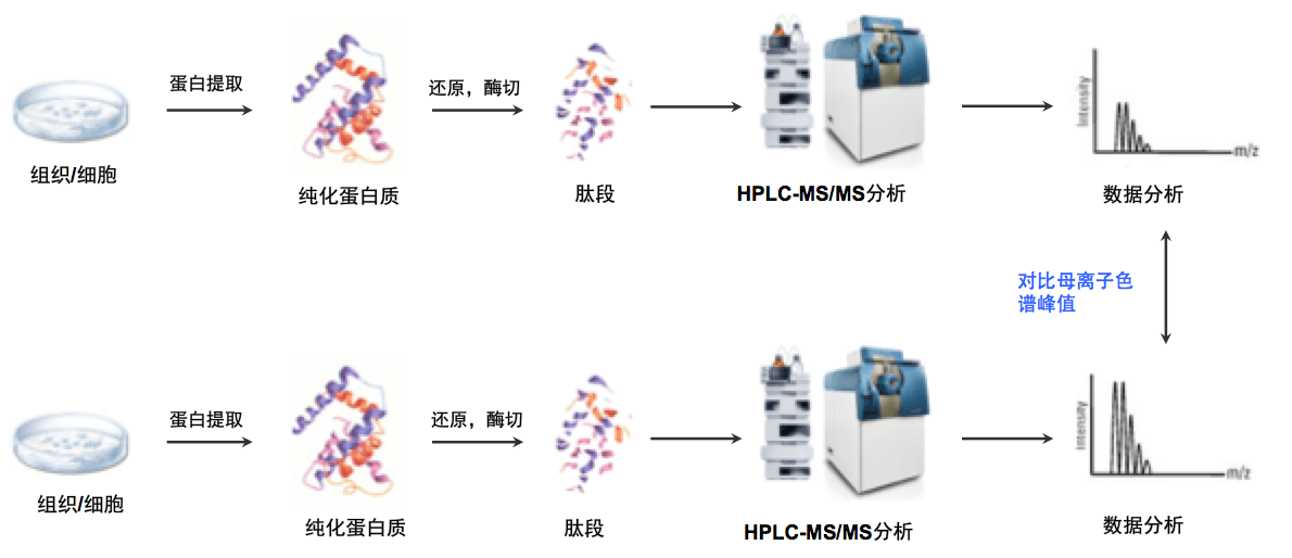 基于Label Free的定量蛋白组分析