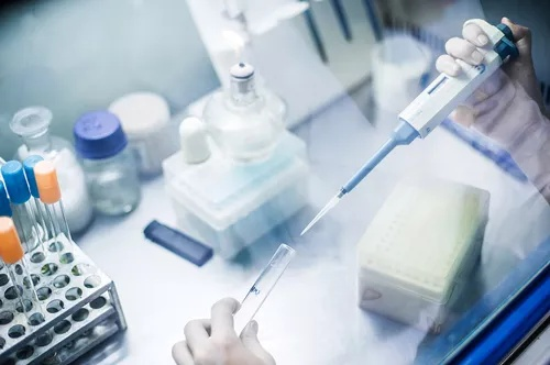 糖组学分析服务