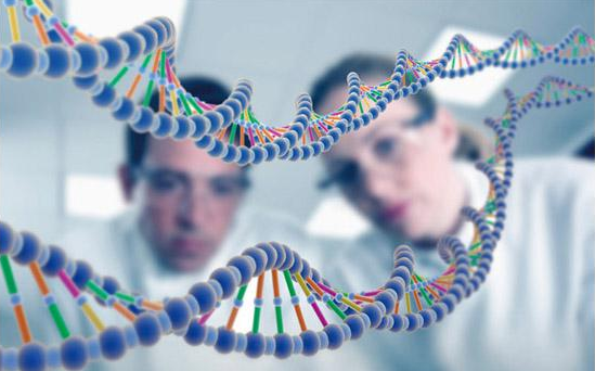 生物胺类物质分析