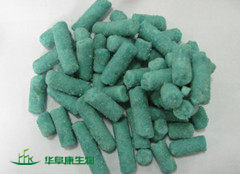 特殊品系鼠料 1415