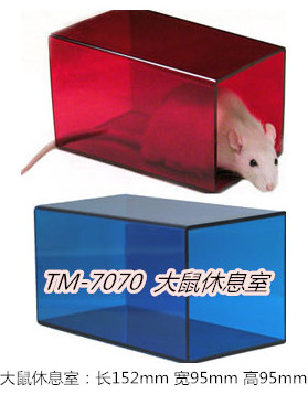 大鼠休息室