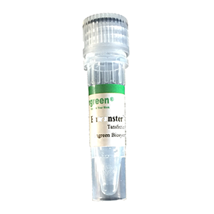 动物体内RNA转染试剂 3天完成动物siRNA, mimic, inhibitor, miRNA等转