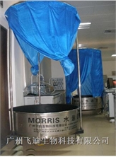 Morris水迷宫