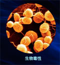 生物毒性检验