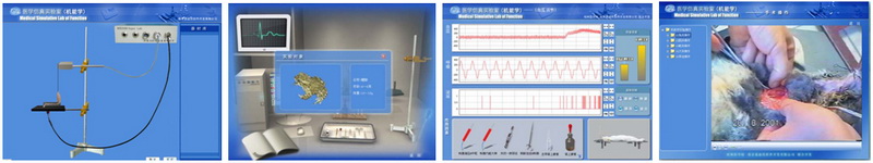 生理虚拟实验室、医学仿真实验室、医学同步反馈系统