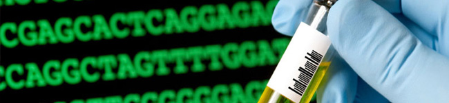 药物临床前安全性评价:生物标志物