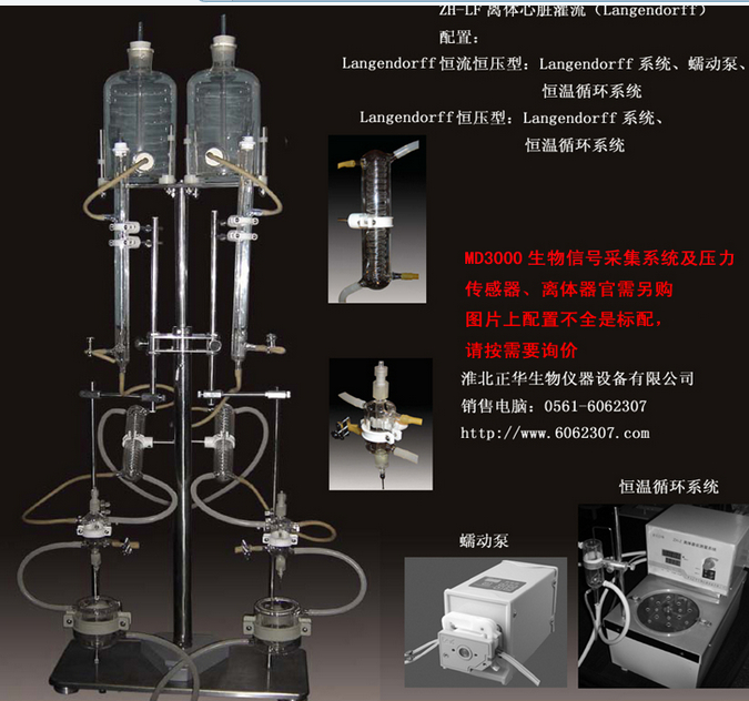 离体心脏灌流装置，Langendorff离体心脏灌流系统，离体心脏冠脉流量测量